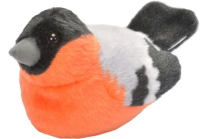 Wild Republic Singvogel Gimpel 3 Wild Republic Singvogel Gimpel