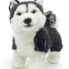 UNI-TOYS® Husky Welpe Schwarz, Stehend (ohne Leine) - 21 Cm (Länge) - Plüsch-Hund - Plüschtier Kuscheltiere 2 UNI-TOYS® Husky Welpe Schwarz, Stehend (ohne Leine) - 21 Cm (Länge) - Plüsch-Hund - Plüschtier Kuscheltiere -Otto 24282973 01