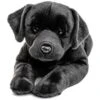 UNI-TOYS® Labrador Schwarz, Liegend - 60 Cm (Länge) - Plüsch-Hund, Haustier - Plüschtier Kuscheltiere 1 UNI-TOYS® Labrador Schwarz, Liegend - 60 Cm (Länge) - Plüsch-Hund, Haustier - Plüschtier Kuscheltiere -Otto 24283025 01