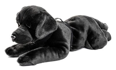 UNI-TOYS® Labrador Schwarz, Liegend - 60 Cm (Länge) - Plüsch-Hund, Haustier - Plüschtier Kuscheltiere 4 UNI-TOYS® Labrador Schwarz, Liegend - 60 Cm (Länge) - Plüsch-Hund, Haustier - Plüschtier Kuscheltiere – Bild 2