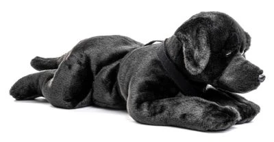 UNI-TOYS® Labrador Schwarz, Liegend - 60 Cm (Länge) - Plüsch-Hund, Haustier - Plüschtier Kuscheltiere 5 UNI-TOYS® Labrador Schwarz, Liegend - 60 Cm (Länge) - Plüsch-Hund, Haustier - Plüschtier Kuscheltiere – Bild 3