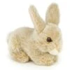UNI-TOYS® Hase, Liegend (beige) - 18 Cm (Länge) - Plüsch-Kaninchen - Plüschtier Kuscheltiere 1 UNI-TOYS® Hase, Liegend (beige) - 18 Cm (Länge) - Plüsch-Kaninchen - Plüschtier Kuscheltiere -Otto 25016487 01