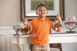 Wild Republic Huggers Katze Tabby 20cm -Otto 8277894 03