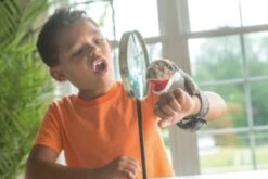 Wild Republic Huggers Katze Tabby 20cm -Otto 8277894 04